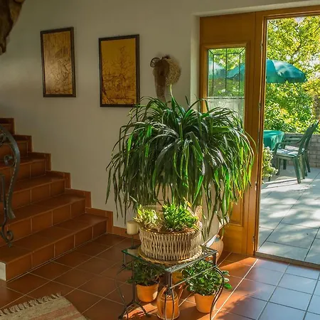 Casa de hóspedes Doris