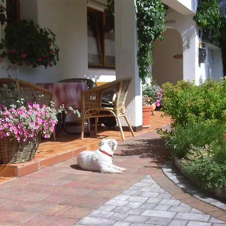 Doris בית הארחה