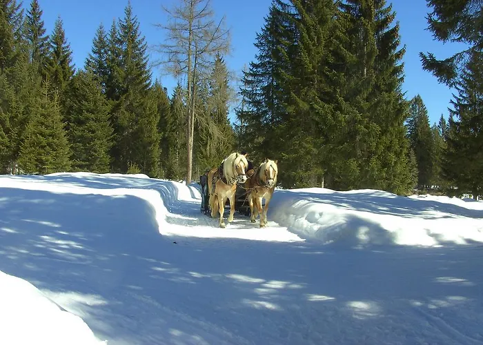 בית הארחה Doris