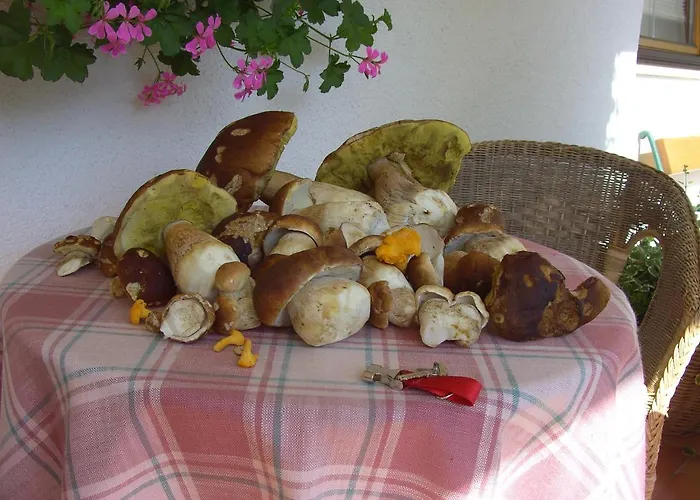 בית הארחה Doris ליוטאש